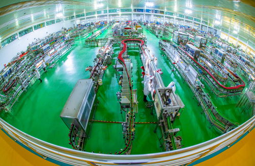 技術研發引領高質量發展 勁牌公司的創新實踐