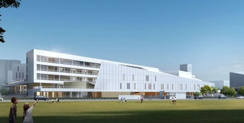 金中江心洲分校新技術開發項目啟動，智慧校園建設再提速